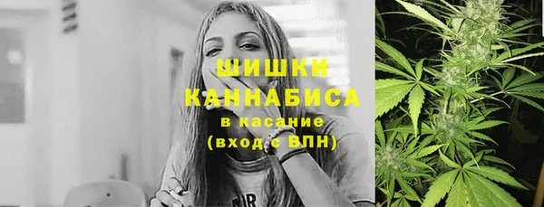 тгк Богородицк