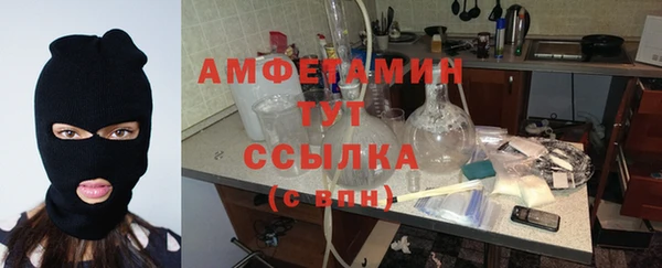 крисы Богданович