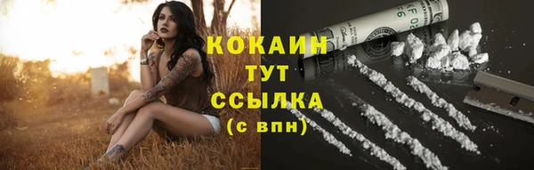 тгк Богородицк