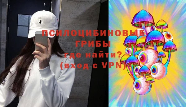 крисы Богданович