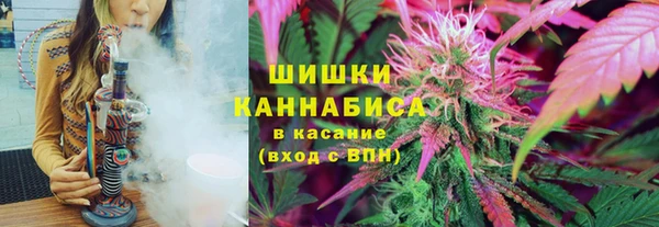 прущие грибы Богородск