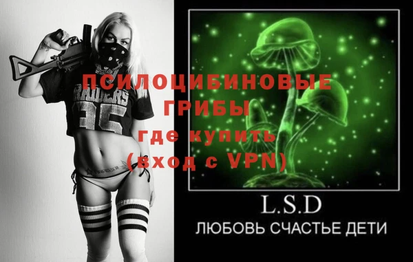 прущие грибы Богородск