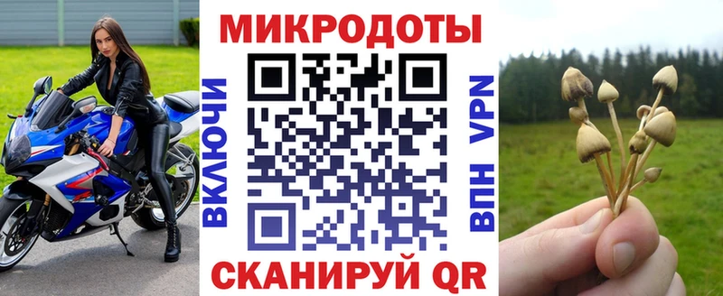 Галлюциногенные грибы MAGIC MUSHROOMS KRAKEN как зайти Яранск